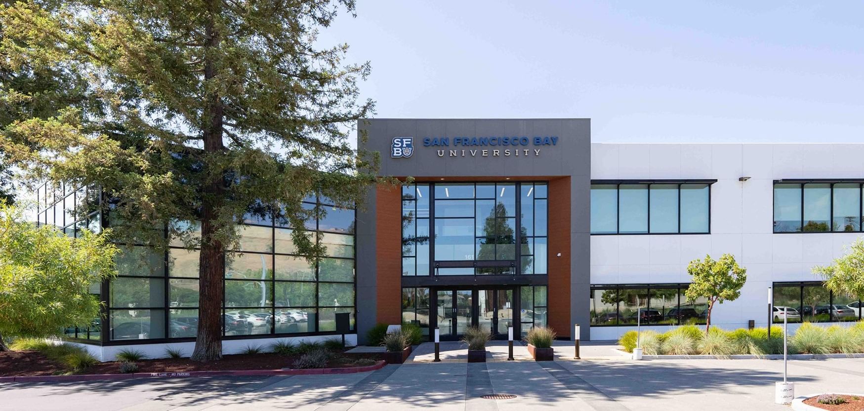 the-complete-guide-to-san-francisco-bay-university-amber